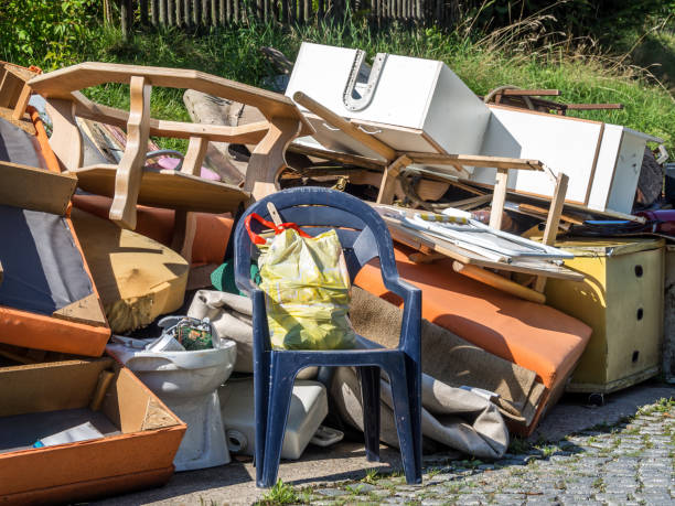 Yard Cleanup Services in Woodland, CA