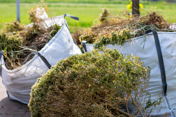 Best Appliance Disposal  in Woodland, CA
